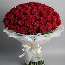Букет 101 Красная роза Блэк Мэджик в Надвоицах