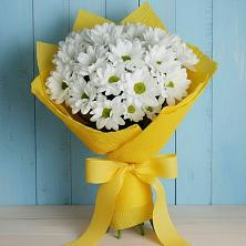 Букет цветов из:  Хризантемы в Надвоицах