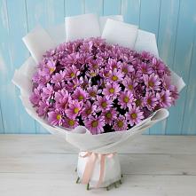 Букет цветов из:  Хризантемы в Надвоицах
