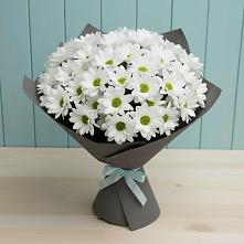 Букет цветов из:  Хризантемы #REPLACE_PRED# Надвоицах