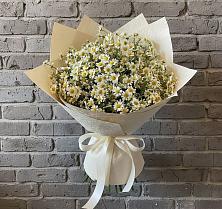 Букет цветов из:  Ромашки в Надвоицах