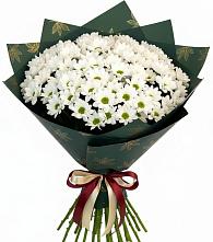 Букет цветов из:  Хризантемы #REPLACE_PRED# Надвоицах