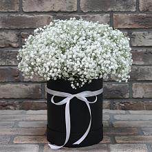 Цветочная композиция из Гипсофила в шляпной коробке #REPLACE_PRED# Надвоицах