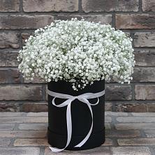 Цветочная композиция из Гипсофила в шляпной коробке в Надвоицах